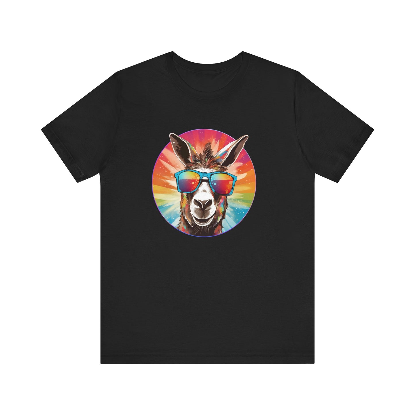 Rainbow Donkey