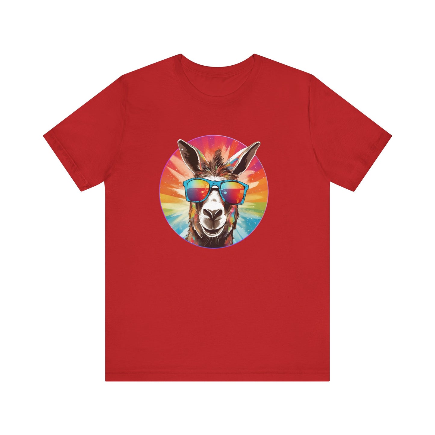 Rainbow Donkey