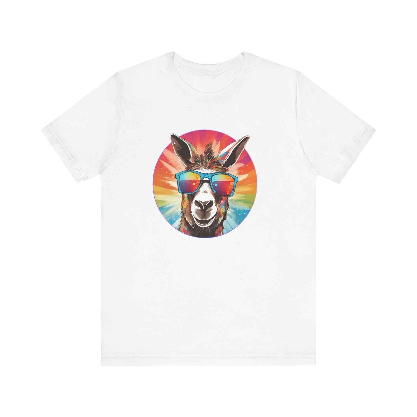 Rainbow Donkey