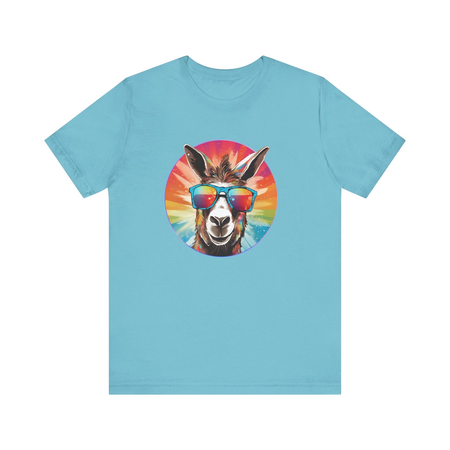 Rainbow Donkey