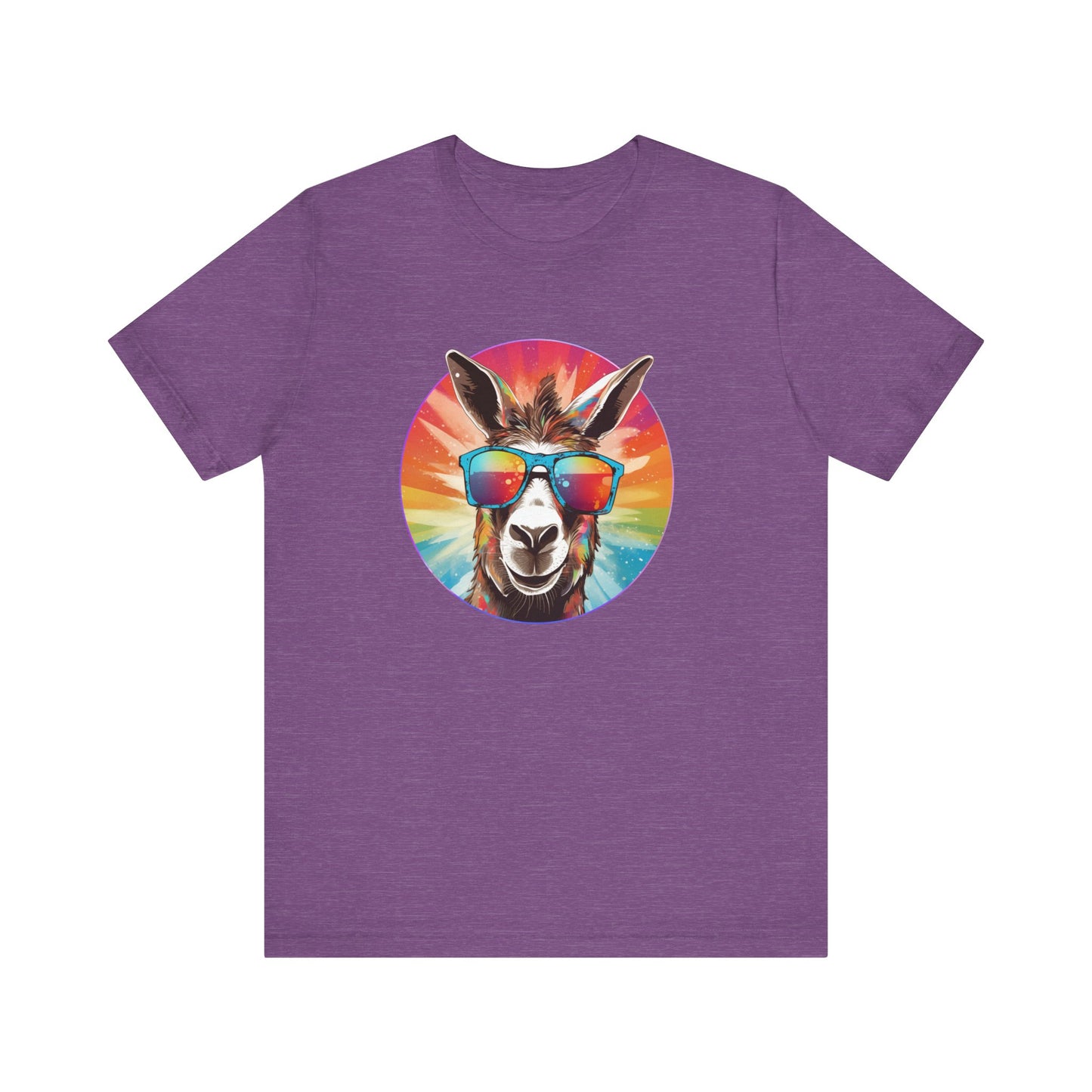 Rainbow Donkey